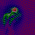  2009