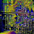  2009