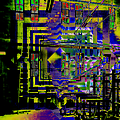  2009