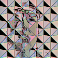  2009